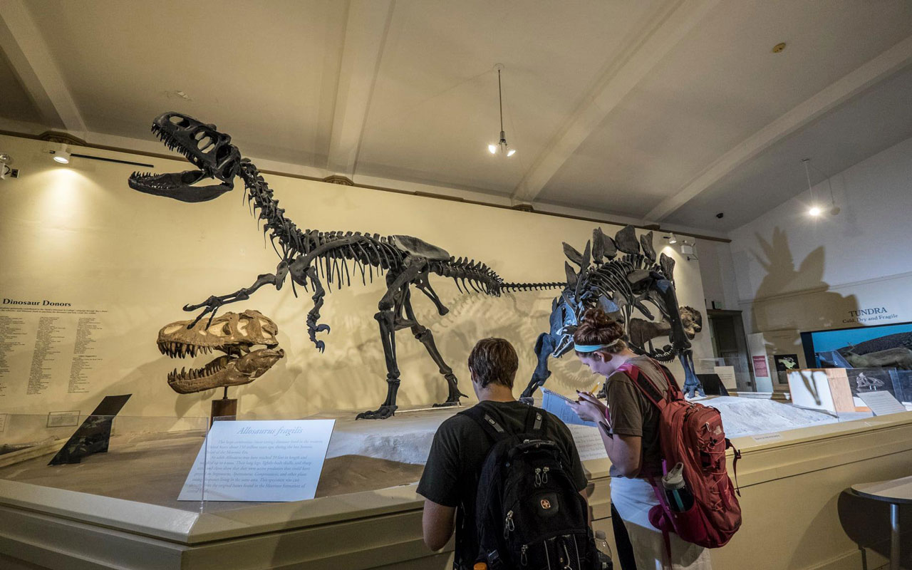 MSU Museum - Dinosaurs in Hall of Habitats